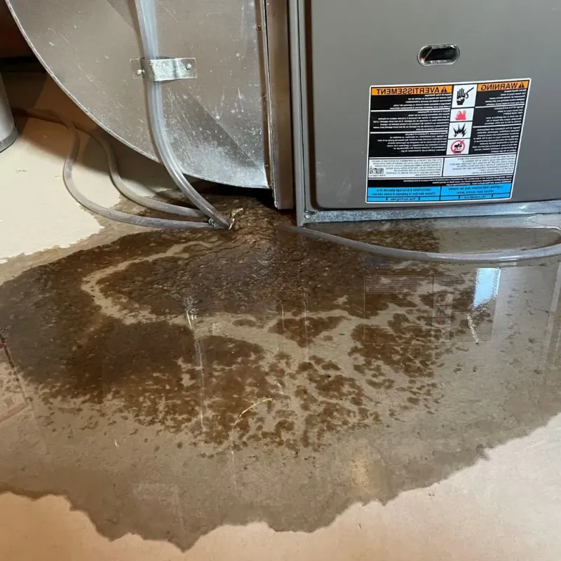 Pipe Burst and Leak Restoration in Oakland, OK